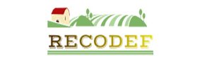 RECODEF